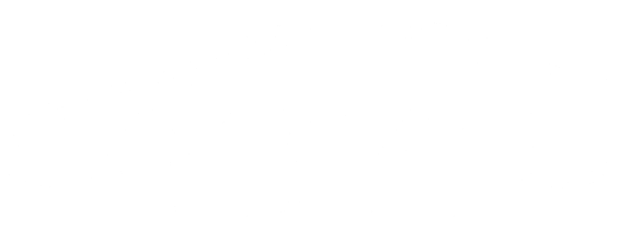 APVS Brasil